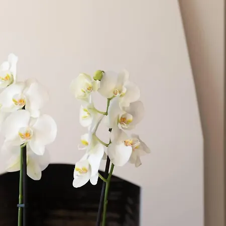 Casa 57 El Naranjal *